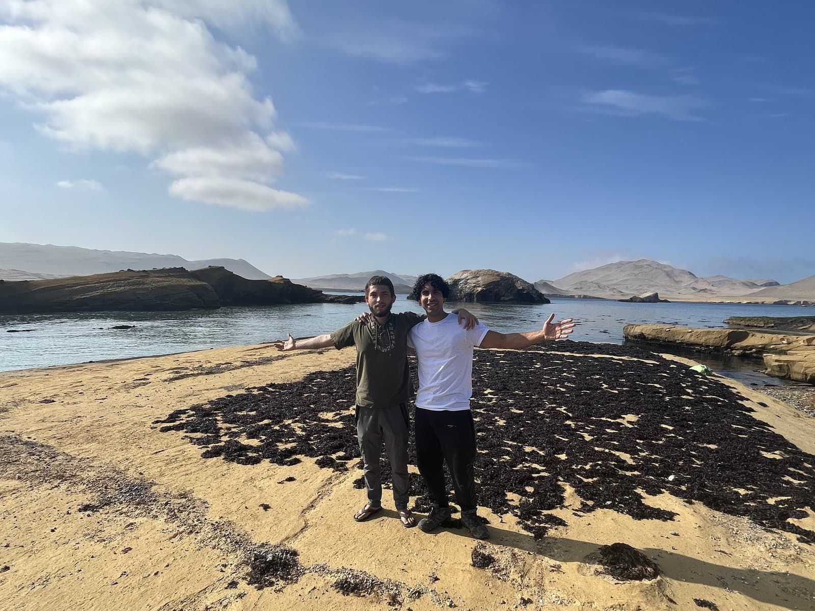 Sea moss laid out to dry along the coast