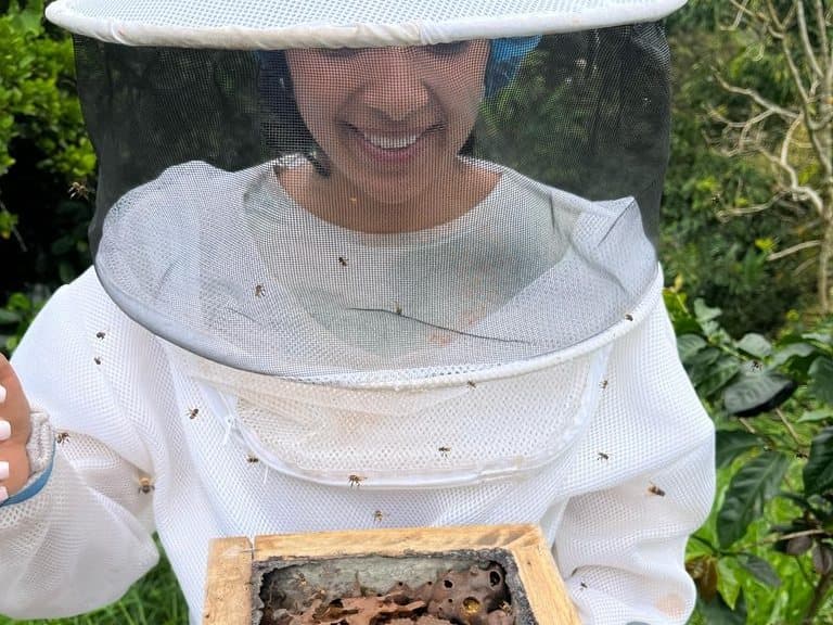 An open Melipona hive frame held in the field